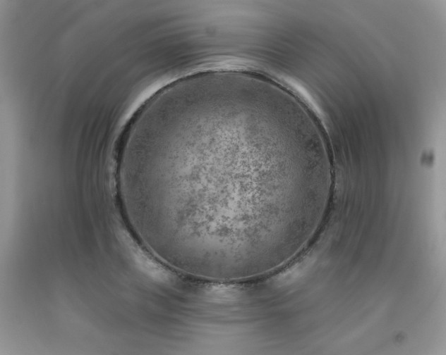 X0000092300835200709141318