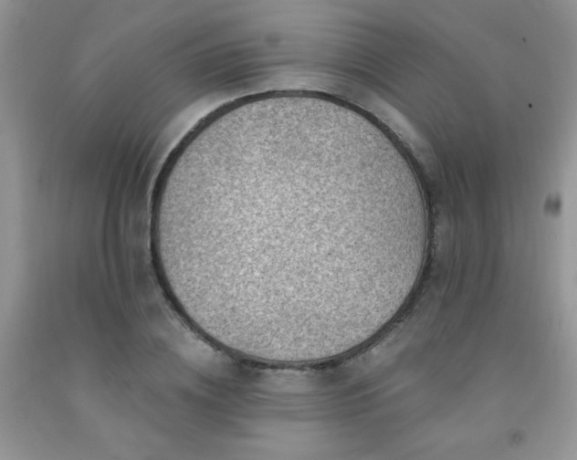 X0000092300836200709141318