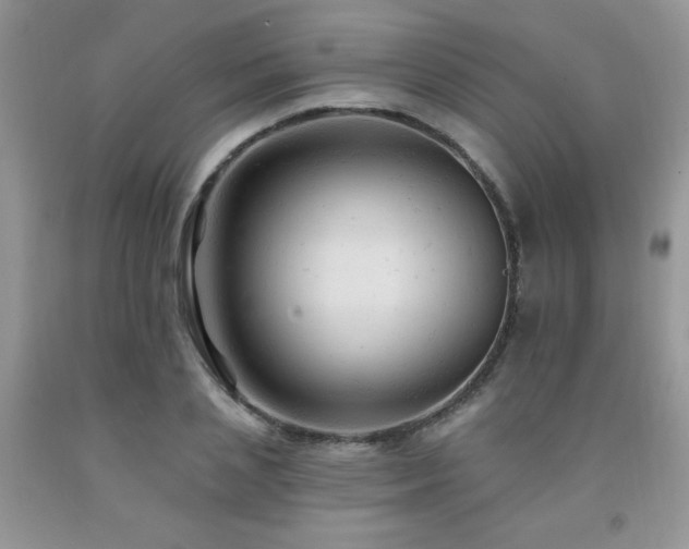 X0000092300837200709141318