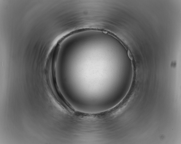 X0000092300838200709141318