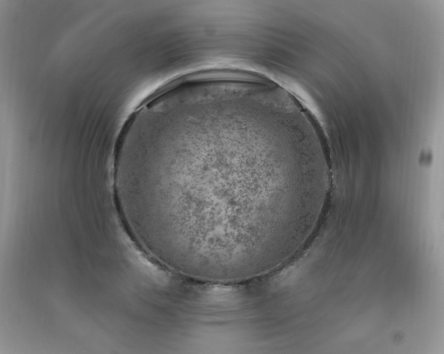 X0000092300839200709141318