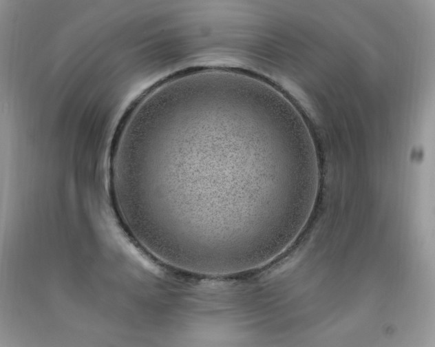 X0000092300840200709141318