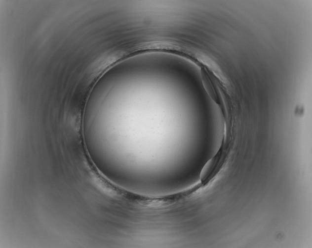 X0000092300841200709141318