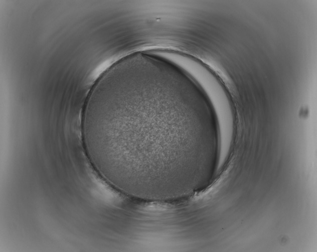 X0000092300842200709141318