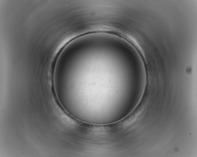 X0000092300843200709141318