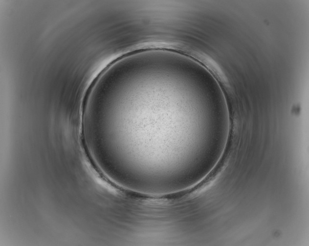 X0000092300844200709141318