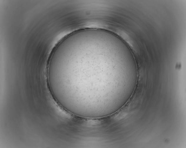 X0000092300848200709141318