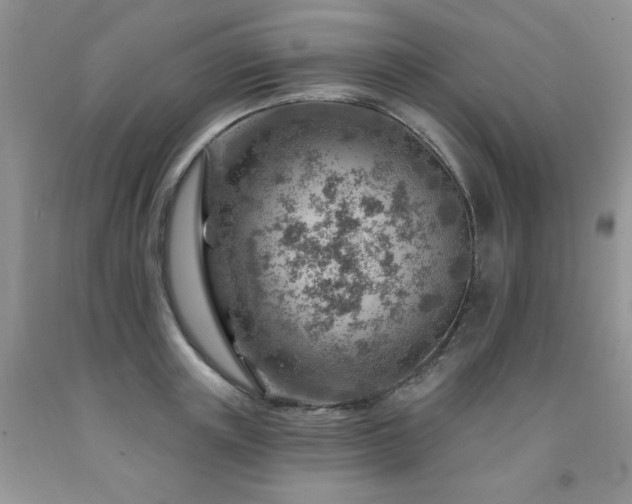 X0000092300851200709141318