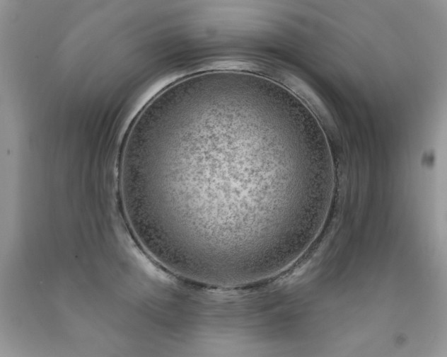 X0000092300852200709141318