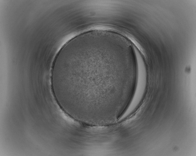 X0000092300853200709141318