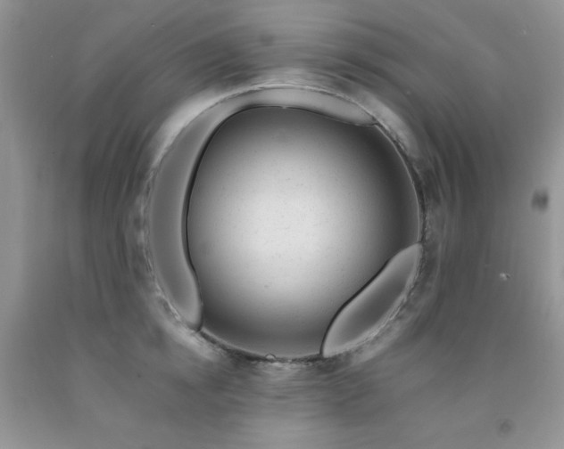 X0000092300854200709141318