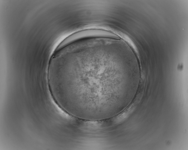 X0000092300855200709141318