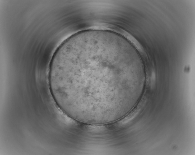 X0000092300856200709141318