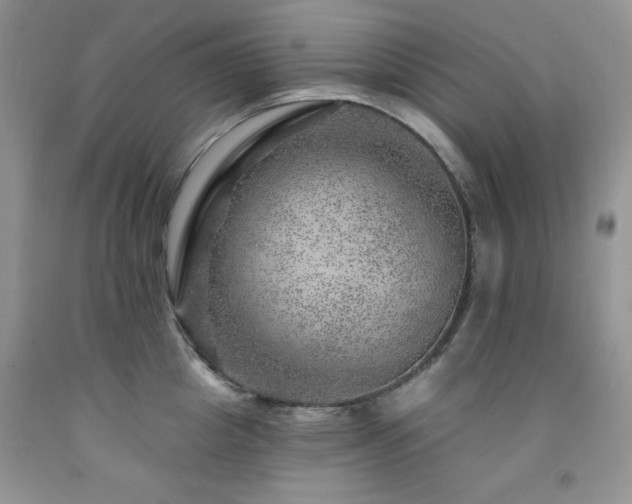 X0000092300857200709141318