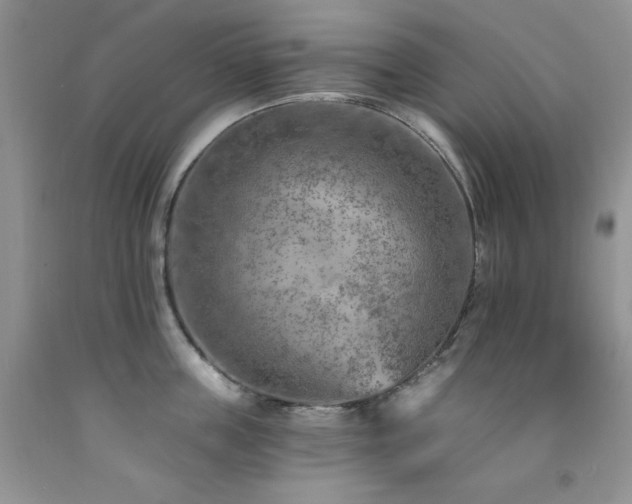 X0000092300859200709141318