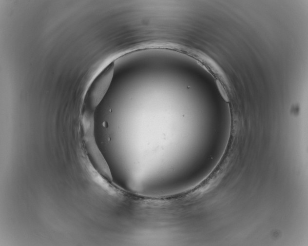 X0000092300860200709141318