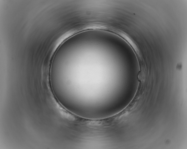 X0000092300861200709141318