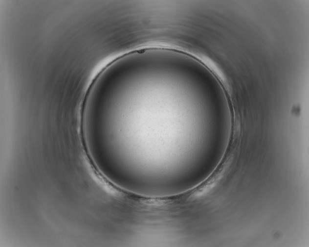 X0000092300862200709141318