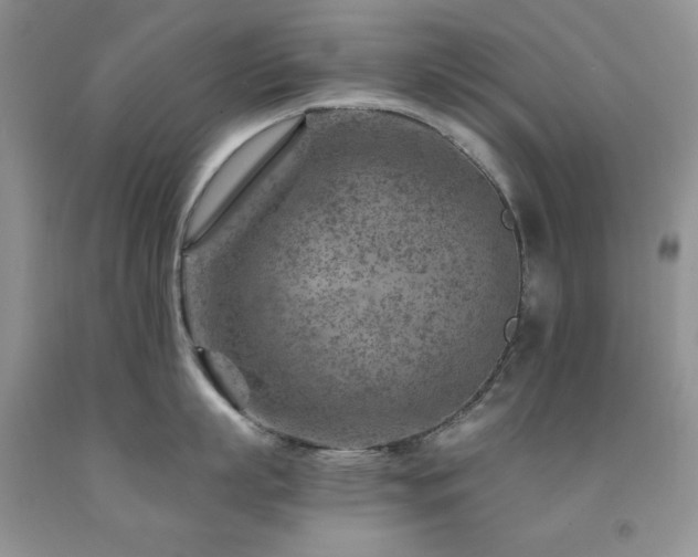 X0000092300863200709141318