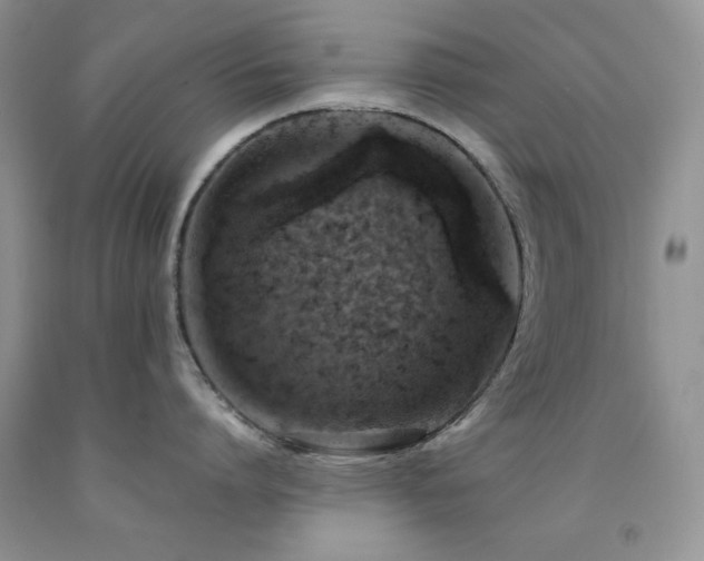 X0000092300864200709141318