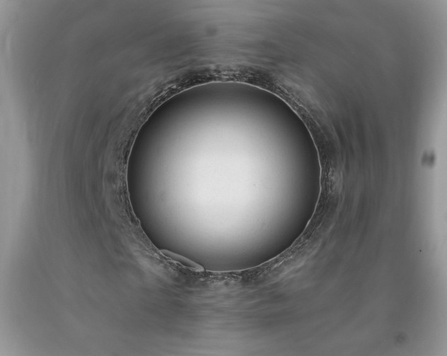 X0000092300865200709141318