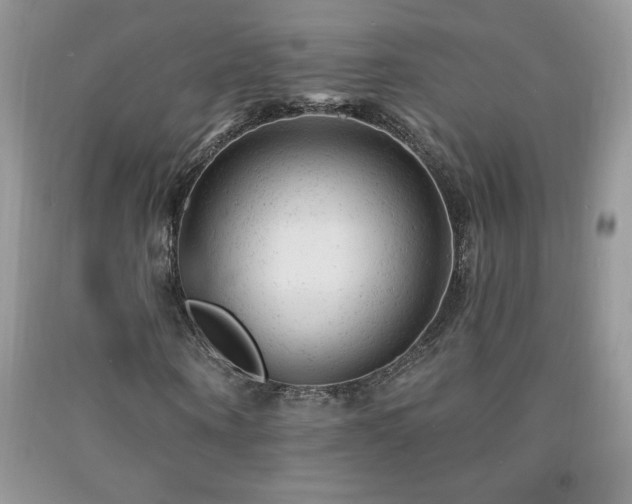 X0000092300866200709141318