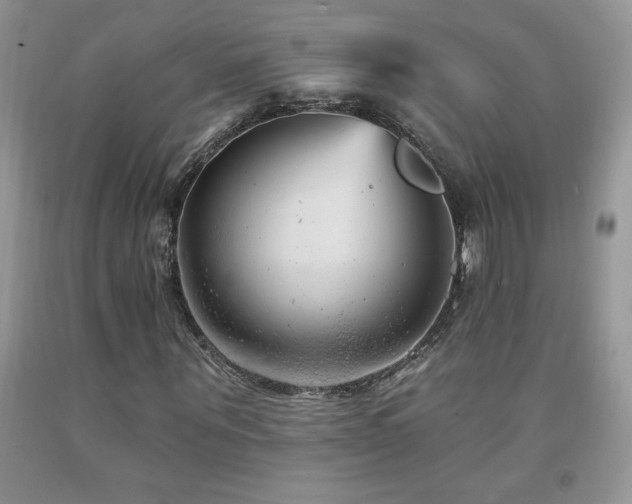 X0000092300867200709141318