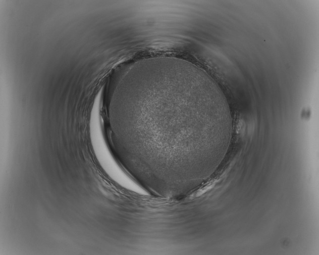 X0000092300868200709141317