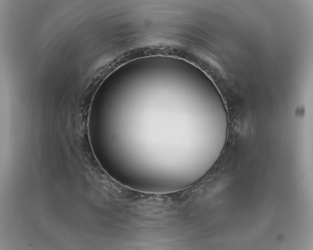 X0000092300869200709141317