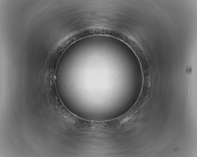 X0000092300870200709141317