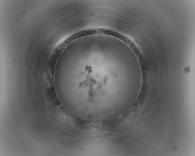 X0000092300871200709141317