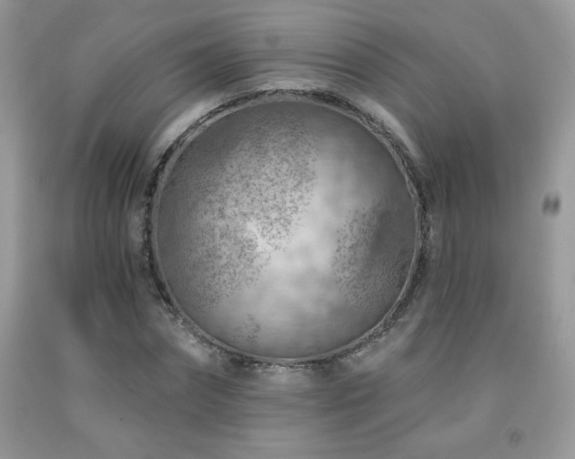 X0000092300874200709141317