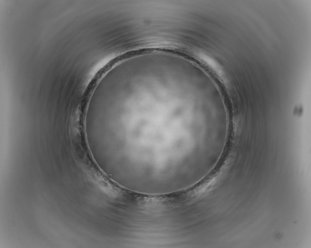 X0000092300875200709141317