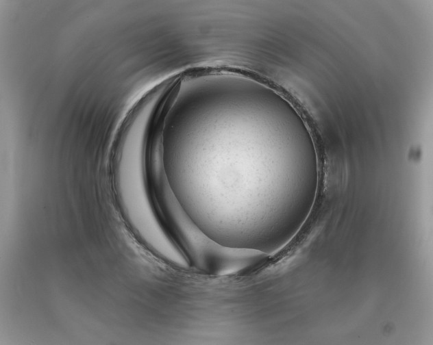 X0000092300876200709141317