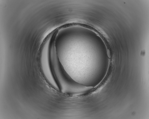 X0000092300877200709141317