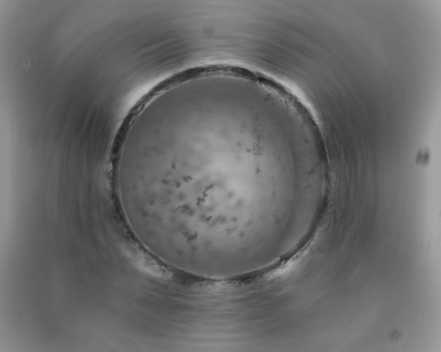 X0000092300879200709141317