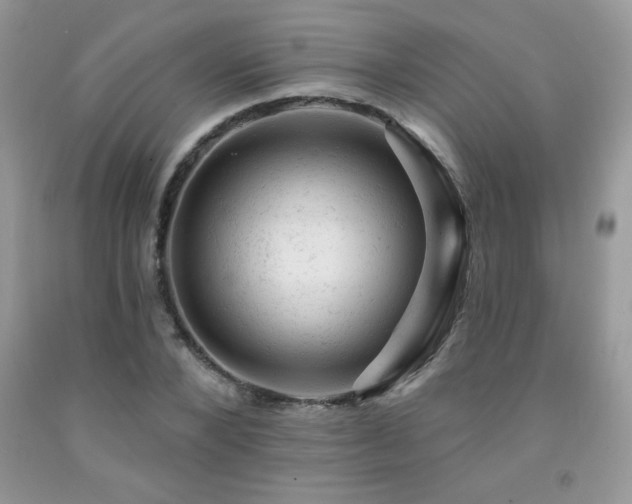 X0000092300880200709141317