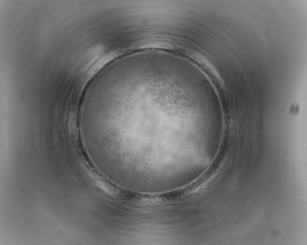 X0000092300882200709141317