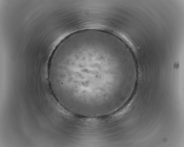X0000092300883200709141317
