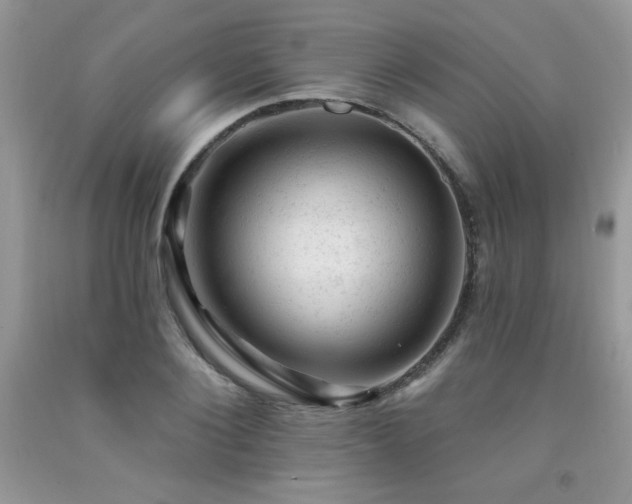 X0000092300884200709141317