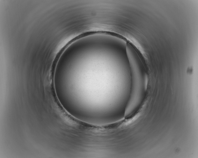 X0000092300885200709141317