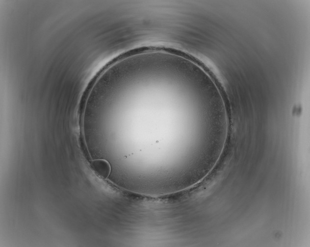 X0000092300887200709141317
