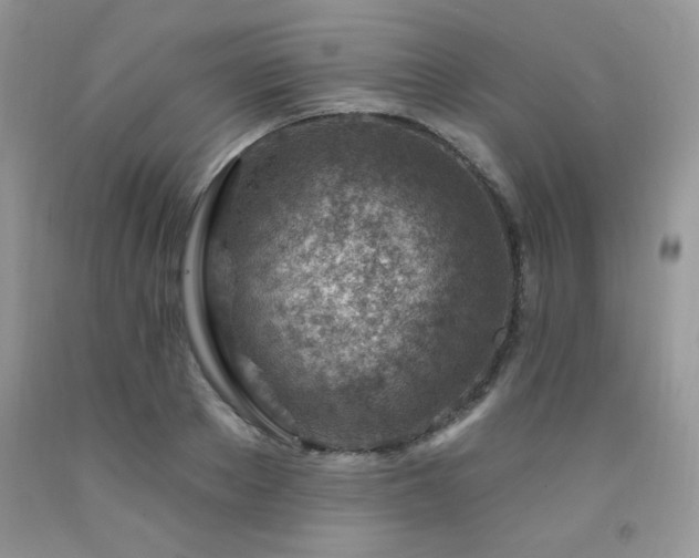 X0000092300889200709141317