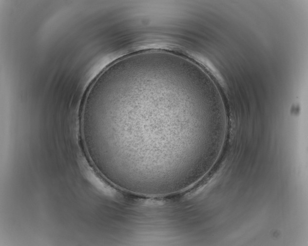 X0000092300890200709141317