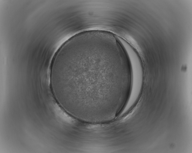 X0000092300892200709141317