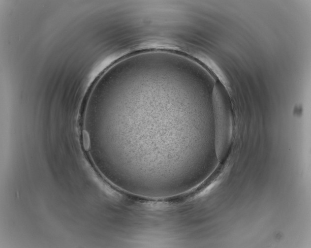 X0000092300893200709141317