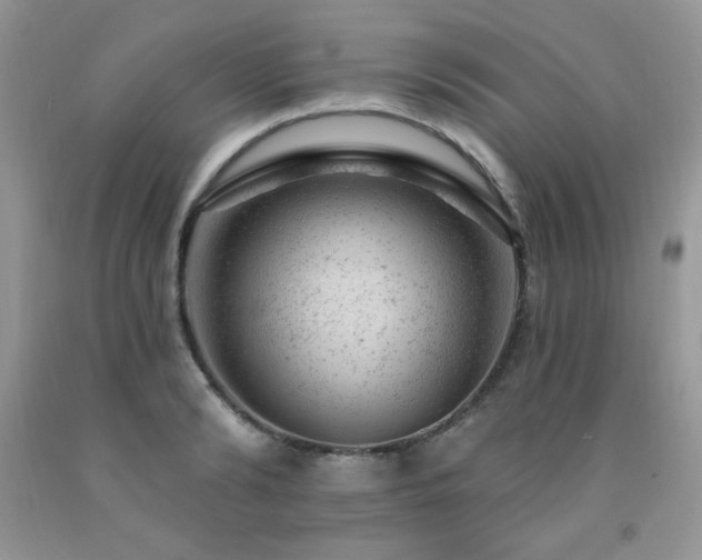 X0000092300894200709141317
