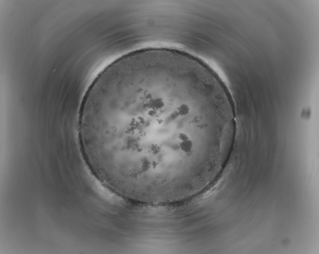 X0000092300895200709141317