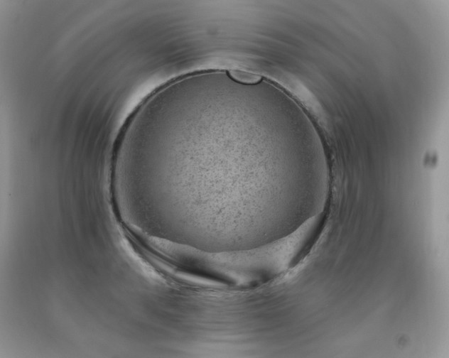X0000092300896200709141317