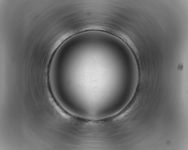 X0000092300898200709141317